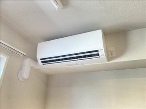 Ｇｒａｎｄ　Ｓｕｎｎｙ　＊＊ A0303号-8