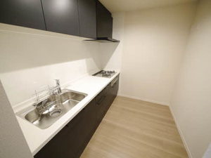 Ｈｅｒｉｔａｇｅ　ＮＡＫＡＩ　Ｍａｎｏｉｒ　＊＊ A0304号-3