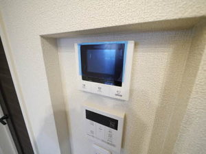 Ｈｅｒｉｔａｇｅ　ＮＡＫＡＩ　Ｍａｎｏｉｒ　＊＊ A0304号-11