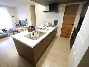 Ｈｅｒｉｔａｇｅ　ＮＡＫＡＩ　Ｍａｎｏｉｒ　＊＊ A0401号-3