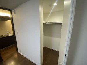 Shamaison Luxuar平尾山荘通 ** A0303号-7