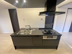 Shamaison Luxuar平尾山荘通 ** A0402号-4