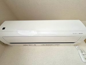 セゾン菜の実　＊＊ A0201号-9