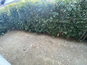 フレグランス ロペ ** A0102号-12