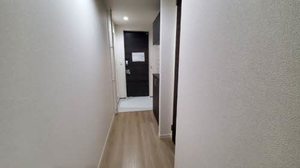 Ｓｈａｍａｉｓｏｎ　ＨＡＮＡＯＫＡ A0204号-5