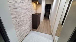 Ｓｈａｍａｉｓｏｎ　ＨＡＮＡＯＫＡ A0204号-6