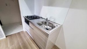 Ｓｈａｍａｉｓｏｎ　ＨＡＮＡＯＫＡ A0204号-9