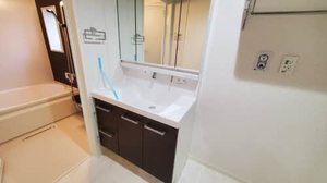 Ｓｈａｍａｉｓｏｎ　ＨＡＮＡＯＫＡ A0204号-10