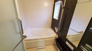 Ｓｈａｍａｉｓｏｎ　ＨＡＮＡＯＫＡ A0204号-11