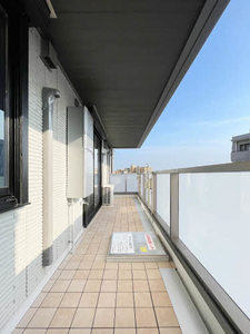 ＧＲＡＮＤ　ＢＬＥＵ　ＤＥ　ＳＡＳＡＯＫＡ　＊＊ A0302号-13