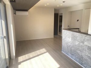 ＳｈａＭａｉｓｏｎ　ＡＬＩＶＩＯ　＊＊ A0101号-2