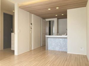 ＳｈａＭａｉｓｏｎ　ＡＬＩＶＩＯ　＊＊ A0303号-2