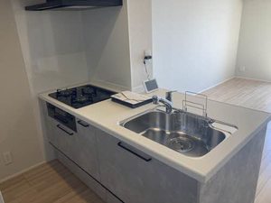 ＳｈａＭａｉｓｏｎ　ＡＬＩＶＩＯ　＊＊ A0303号-3