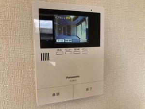 ＳｈａＭａｉｓｏｎ　ＡＬＩＶＩＯ　＊＊ A0303号-10