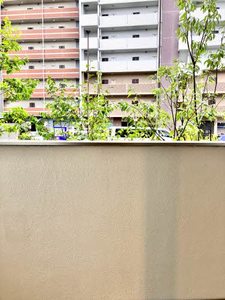 Ｐａｒａｄｉｓｏ琴平　＊＊ A0105号-10