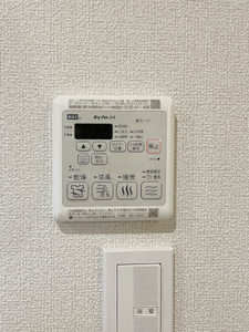 Ｋｌａｎｇ　Ｈｉｂｉｋｉ　＊＊ A0101号-11