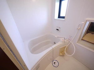 プリマベーラ B棟 B0202号-4