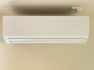 サザンブライト碩田 A0202号-10
