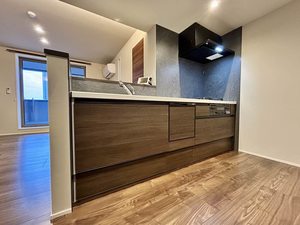 Elena大江 A0304号-3