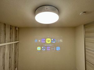 Ｂｕｓｈ　Ｃｌｏｖｅｒ　＊＊ A0201号-13