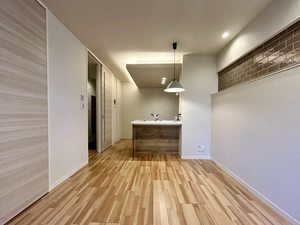 ＴＨＥ　ＨＥＡＶＥＮ　＊＊ A0102号-2