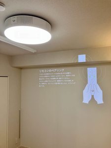 ＴＨＥ　ＨＥＡＶＥＮ　＊＊ A0202号-10