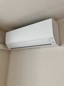 ＴＨＥ　ＨＥＡＶＥＮ　＊＊ A0202号-11