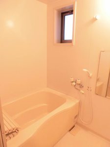 ディアス・ターシャ＊＊ A0102号-4