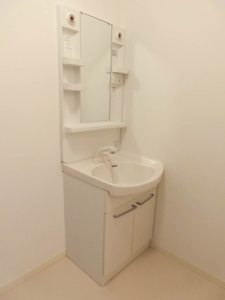 ディアス・ターシャ＊＊ A0102号-6