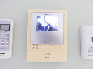 ディアス・ターシャ＊＊ A0102号-10