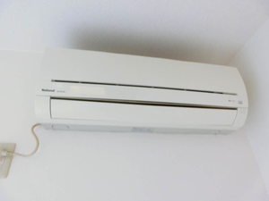 ディアス・ターシャ＊＊ A0102号-12