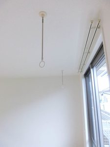 ディアス・ターシャ＊＊ A0102号-13