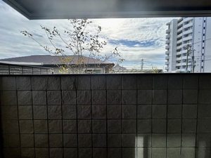 シャーメゾン MIRAI ** A0104号-11