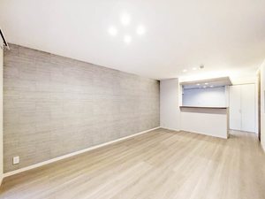 Ｐｌｕｍｊｕ． A0101号-2