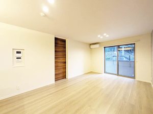 Ｐｌｕｍｊｕ． A0101号-3