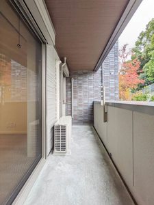 Ｐｌｕｍｊｕ． A0101号-6