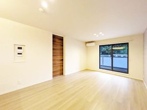 Ｐｌｕｍｊｕ． A0201号-2