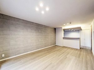 Ｐｌｕｍｊｕ． A0201号-3