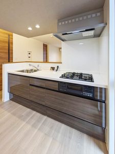 Ｐｌｕｍｊｕ． A0201号-5