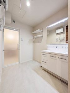 Ｐｌｕｍｊｕ． A0201号-11