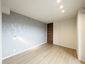 Ｐｌｕｍｊｕ． A0201号-13