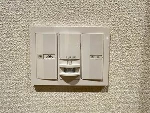 シャーメゾンプレミア椿 A0302号-11