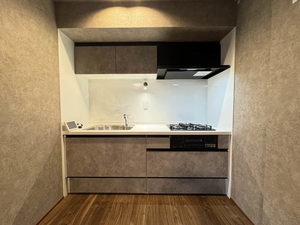 Shamaison新町T.H ** A0304号-3