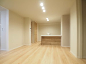 WithPlus天保山公園 A0103号-6