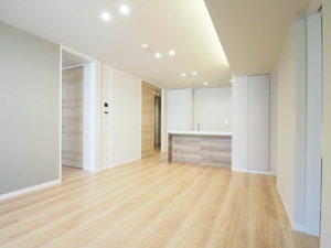 ＷｉｔｈＰｌｕｓ天保山公園 A0206号-5