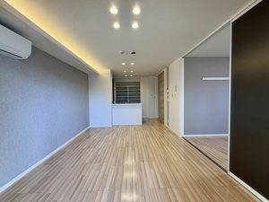 Ｓｈａｍａｉｓｏｎ　∞　＊＊ A0101号-2