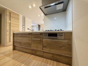 Ｓｈａｍａｉｓｏｎ　∞　＊＊ A0101号-3