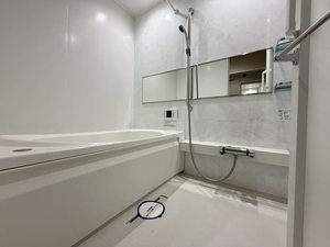 Ｓｈａｍａｉｓｏｎ　∞　＊＊ A0101号-4