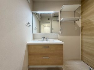 Ｓｈａｍａｉｓｏｎ　∞　＊＊ A0101号-5