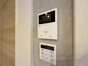 Ｓｈａｍａｉｓｏｎ　∞　＊＊ A0101号-9